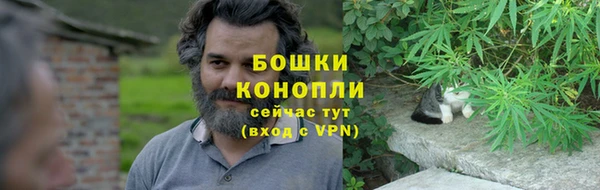 сатива Заводоуковск