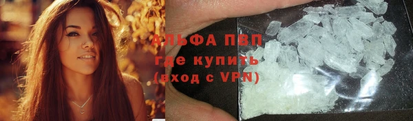 сатива Заводоуковск