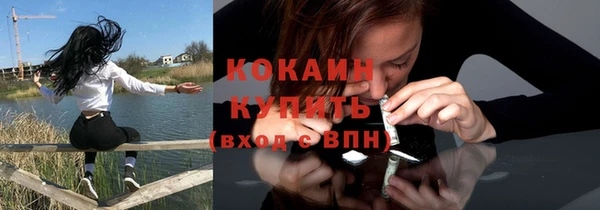 сатива Заводоуковск