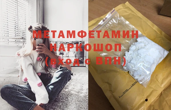 сатива Заводоуковск