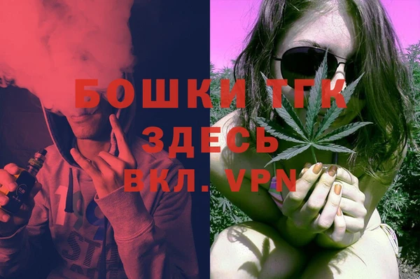 сатива Заводоуковск