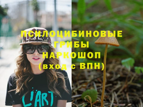хмурый Заволжск