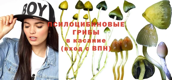 хмурый Заволжск