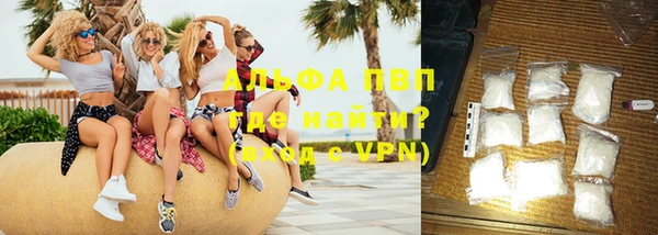 сатива Заводоуковск