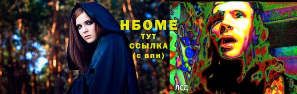 сатива Заводоуковск