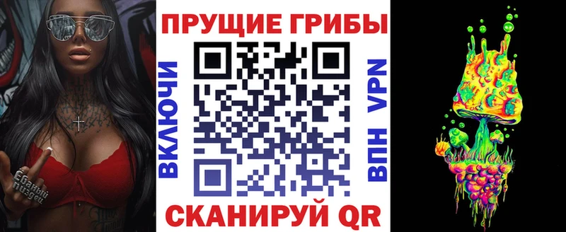 Галлюциногенные грибы Cubensis  Купить закладки  Елабуга 